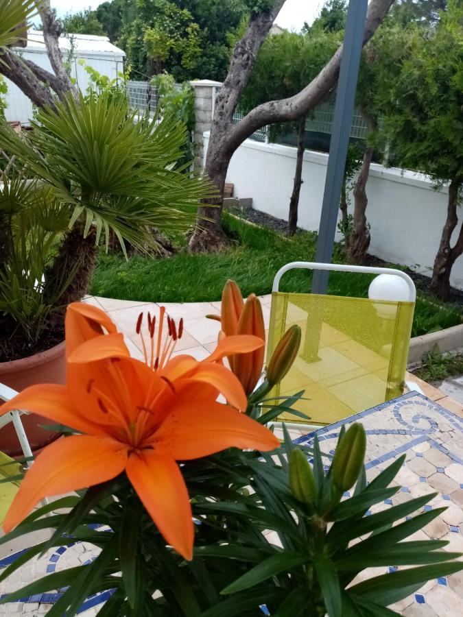 Le Flamant Rose Acomodação com café da manhã Salin-de-Giraud Exterior foto