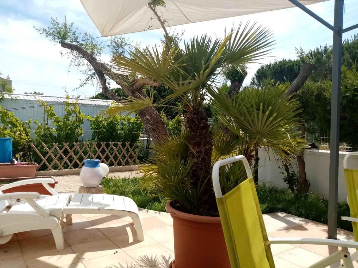 Le Flamant Rose Acomodação com café da manhã Salin-de-Giraud Exterior foto
