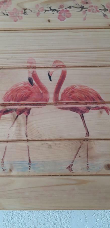 Le Flamant Rose Acomodação com café da manhã Salin-de-Giraud Exterior foto
